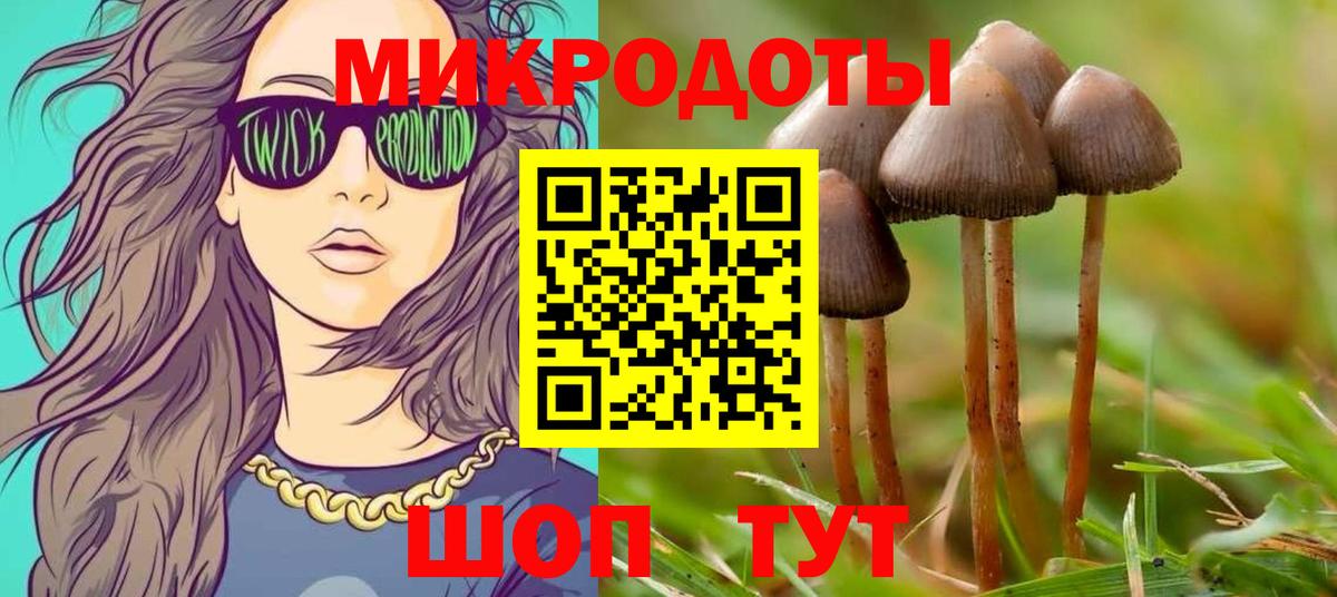Кропоткин  Галлюциногенные грибы GOLDEN TEACHER  Вход с VPN 